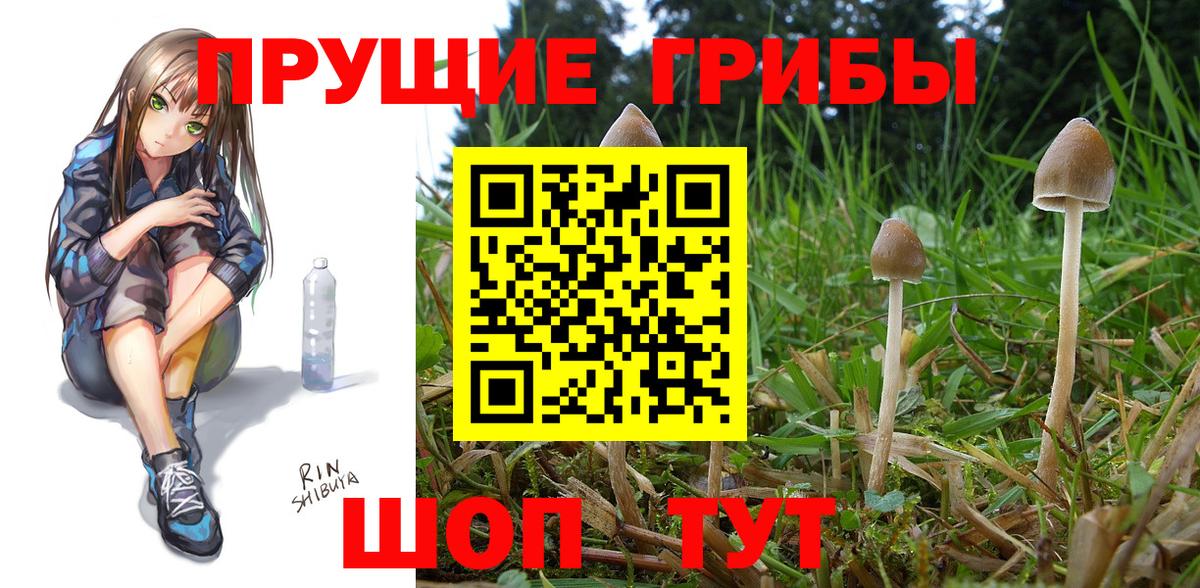 Галлюциногенные грибы ЛСД Киселёвск