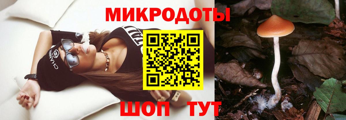 Киселёвск  Галлюциногенные грибы Psilocybine cubensis  Псилоцибиновые грибы мицелий  Вход с VPN 